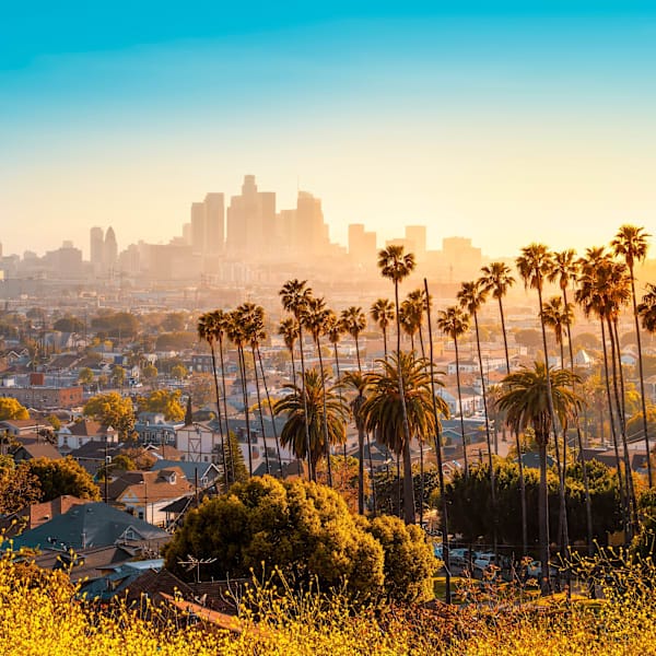 Sunny California: Hollywood & Aloha Hawaii! 