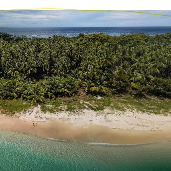 Costa Rica & Panama: Road Adventure zum Nebelwald!