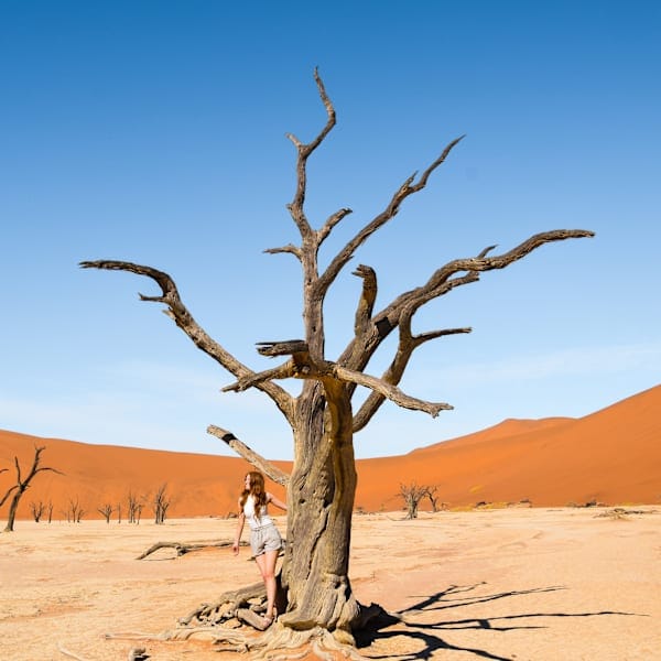 Namibia road trip: Wildlife, desert and safari adventure