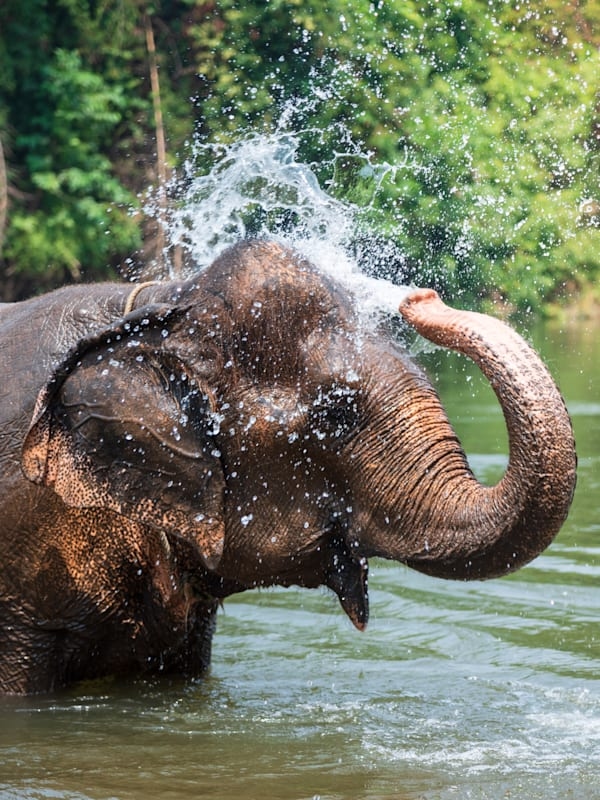 Abenteuer Thailand