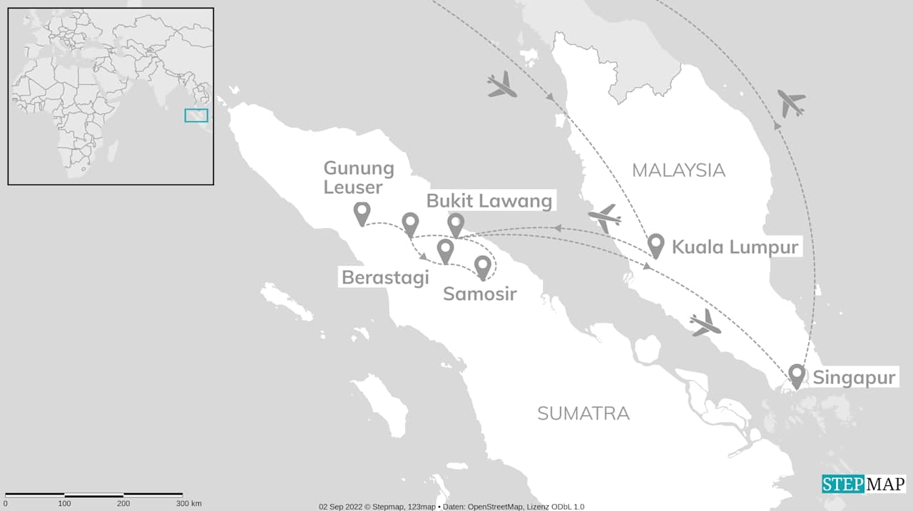 Asiens Kontraste: Sumatras Dschungel & funkelnde Skylines