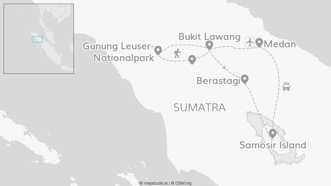 Wild Sumatra: Ready to Hang with Orangutans?