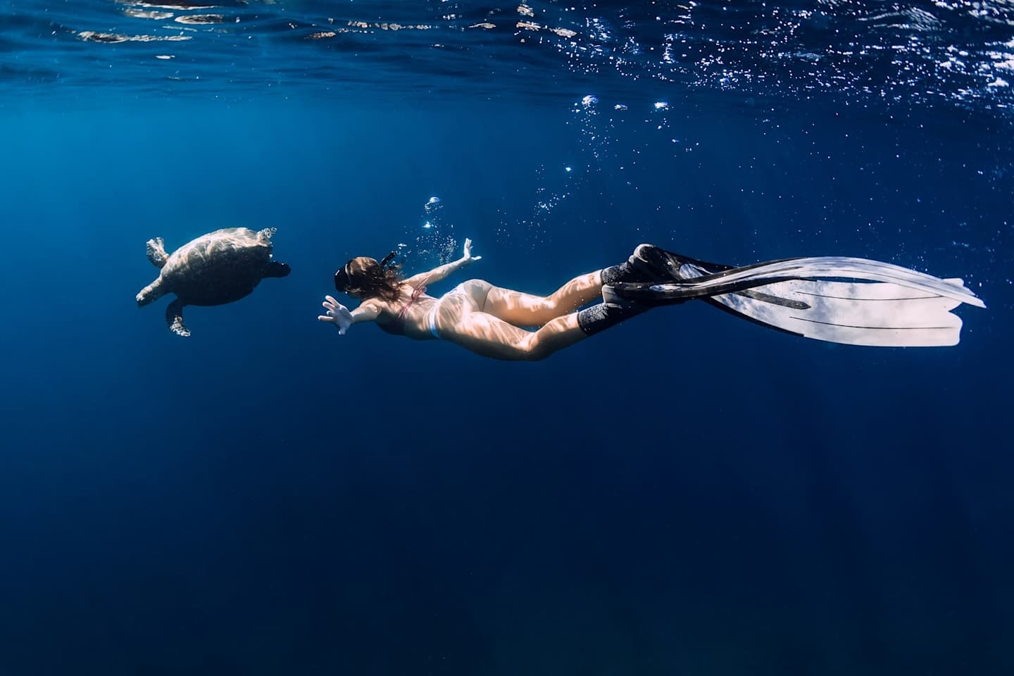 Daymaniyat Islands Snorkeling Escape thumbnail
