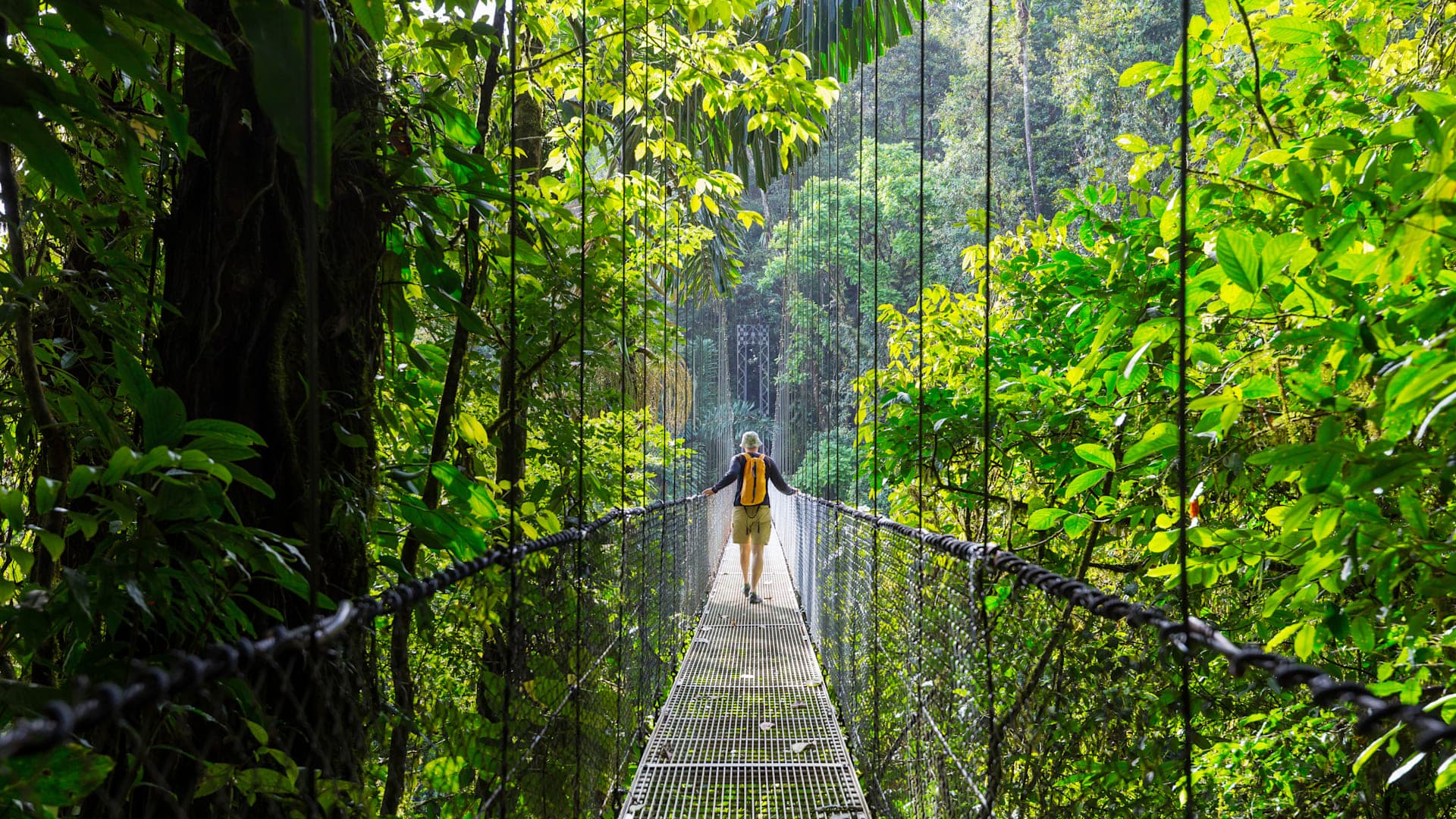 Monteverde, San José & Santa Teresa
