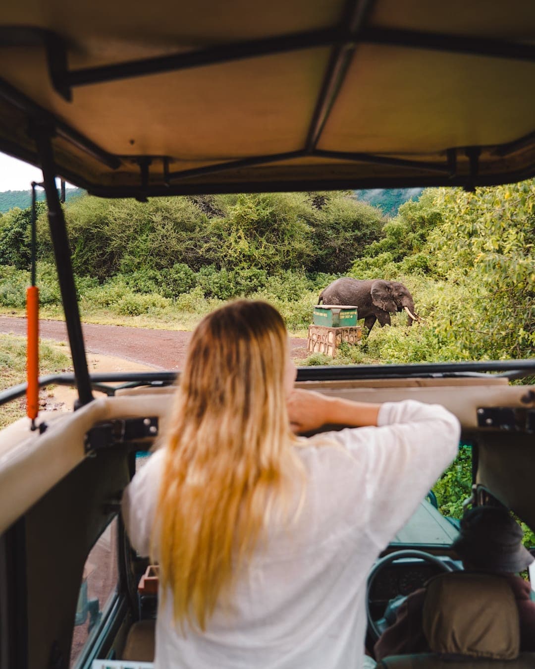 Safari, Sansibar & Kilimandscharo