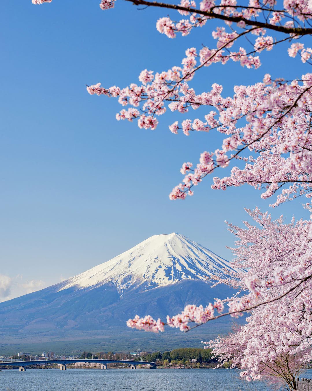Tokyo meets Kyoto and Mount Fuji