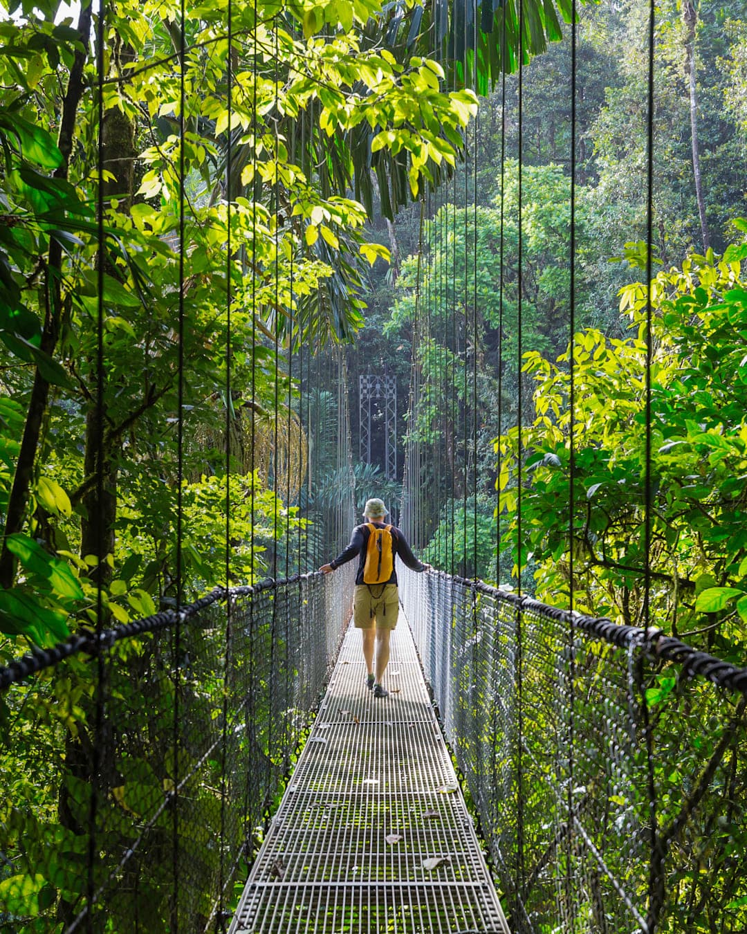 Monteverde, San José & Santa Teresa