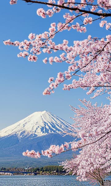 Tokyo meets Kyoto and Mount Fuji