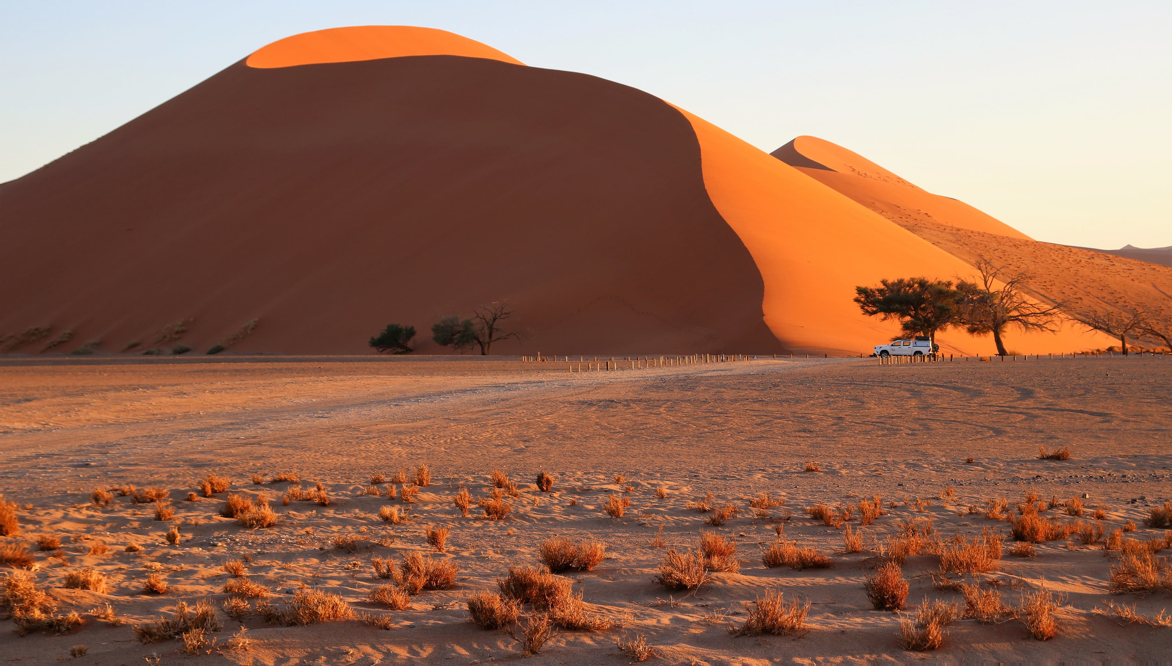 Namib Wüste